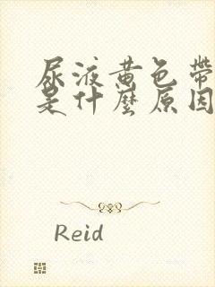 尿液黄色带泡沫是什么原因