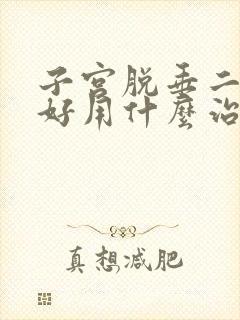 子宫脱垂二度最好用什么治疗方法