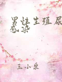 男性生殖尿路系感染