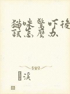 猫咪惊吓后尿闭该怎么办