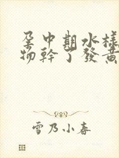 孕中期水样分泌物干了发黄