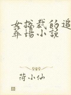 女总裁的追夫火葬场小说