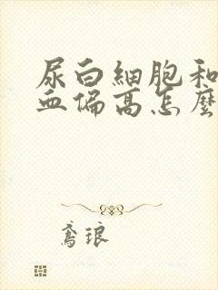 尿白细胞和尿潜血偏高怎么回事