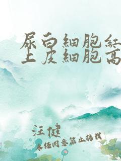 尿白细胞红细胞上皮细胞高