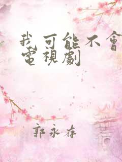 我可能不会爱你电视剧