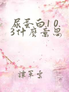 尿蛋白1 0.3什么意思