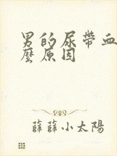 男的尿带血是什么原因