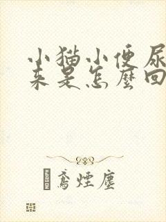 小猫小便尿不出来是怎么回事