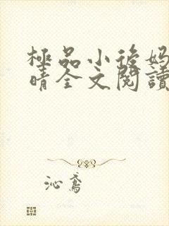 极品小后妈刘婉晴全文阅读