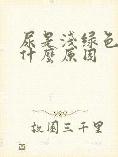 尿是浅绿色的是什么原因