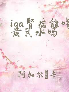 iga肾病能喝黄芪水吗