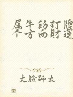 属牛的打牌坐哪个方向财运好