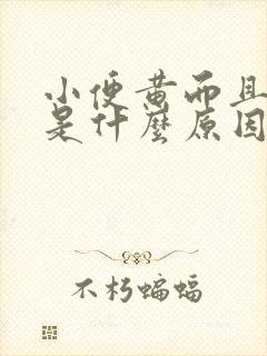 小便黄而且浑浊是什么原因引起的