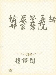 输尿管长结石去哪家医院