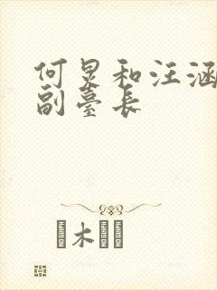 何炅和汪涵谁是副台长