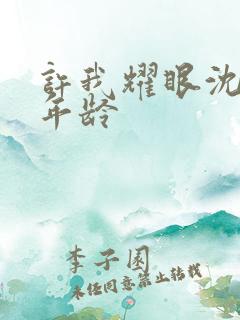 许我耀眼沈皓明年龄