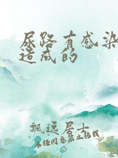 尿路有感染什么造成的