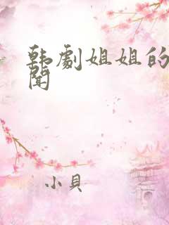 韩剧姐姐的s丑闻