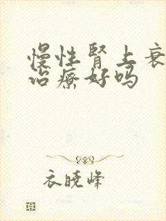 慢性肾上衰竭能治疗好吗