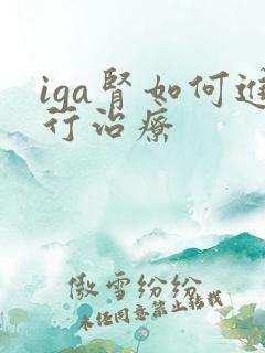 iga肾如何进行治疗