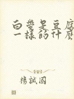 白带是豆腐渣状一样的什么原因