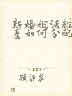 新婚姻法离婚财产如何分配