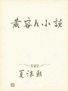 黄容h小说