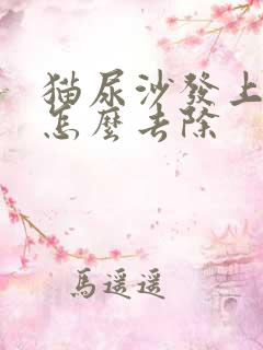 猫尿沙发上骚味怎么去除