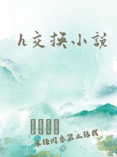 h交换小说