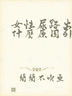 女性尿路出血是什么原因引起的