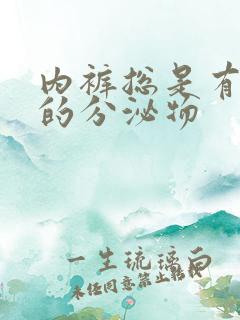 内裤总是有黄色的分泌物