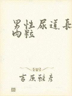 男性尿道长了个肉粒