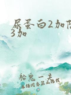 尿蛋白2加隐血3加