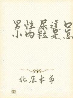 男性尿道口边有小肉粒是怎回事