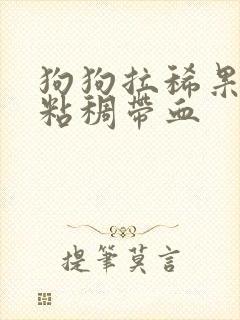 狗狗拉稀果冻状粘稠带血