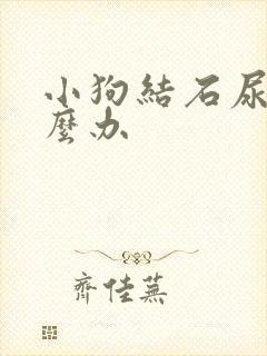 小狗结石尿血怎么办