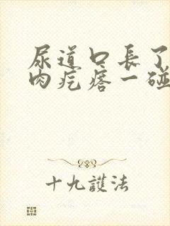 尿道口长了个小肉疙瘩一碰就疼