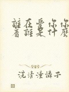 谁在爱你你在爱着谁是什么歌里的词