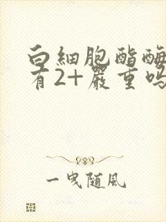 白细胞酯酶检查有2+严重吗?