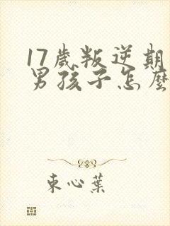 17岁叛逆期的男孩子怎么去引导