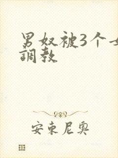 男奴被3个女王调教