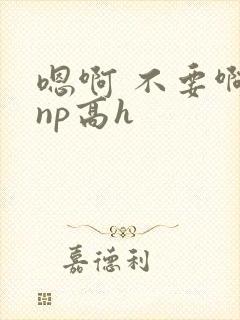 嗯啊 不要啊 np高h