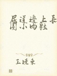 尿道边上长了一圈小肉粒