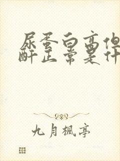 尿蛋白高但是肌酐正常是什么原因