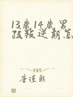 13岁14岁男孩叛逆期怎么办