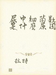 尿中细菌数偏高是什么原因