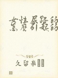 女性尿路的感染怎么引起的