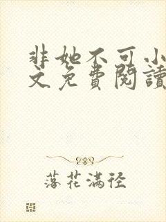 非她不可小说全文免费阅读沈遇