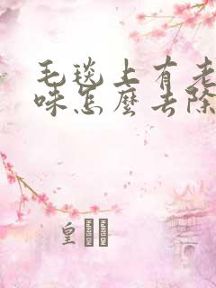 毛毯上有老鼠尿味怎么去除