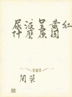 尿液呈黄红色是什么原因